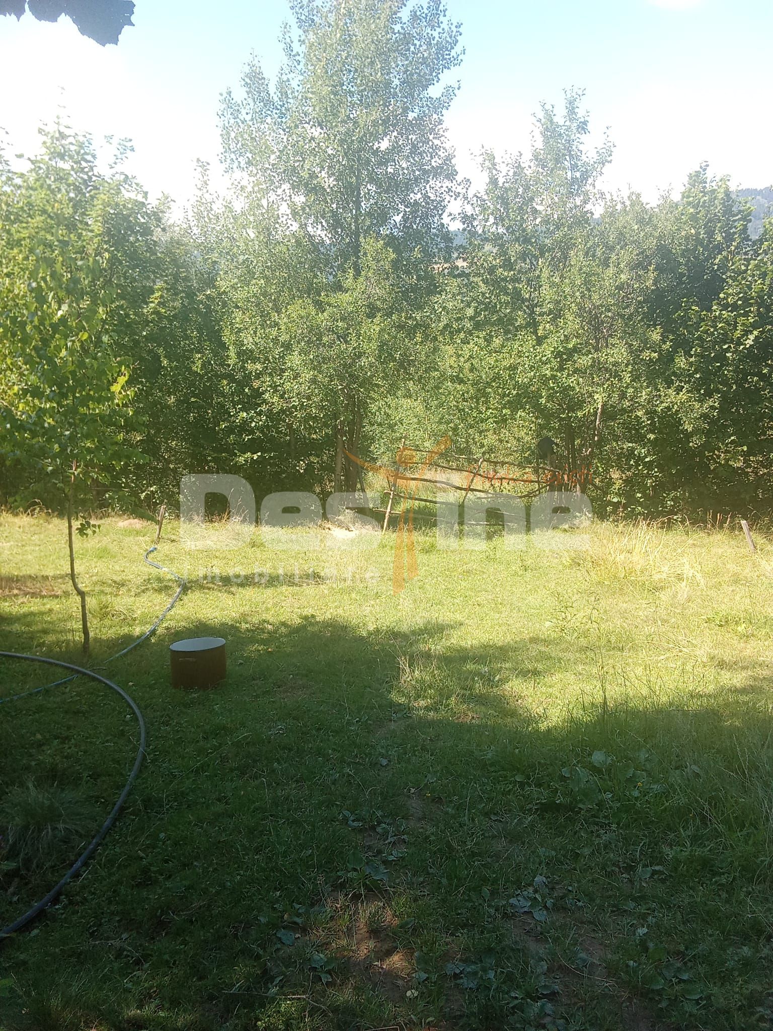 Teren de vânzare – Moisei, Maramureș