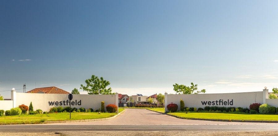 2 parcele alăturate | 823 mp | Westfield Arad — fotografia 4