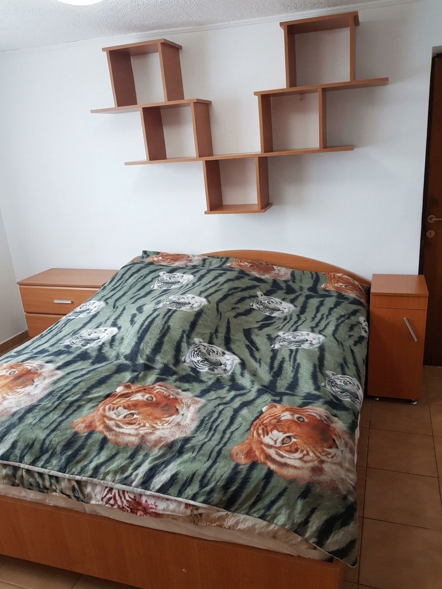 Casă cu 4 camere și curte intimă, Calea Martirilor – Timișoara — fotografia 2