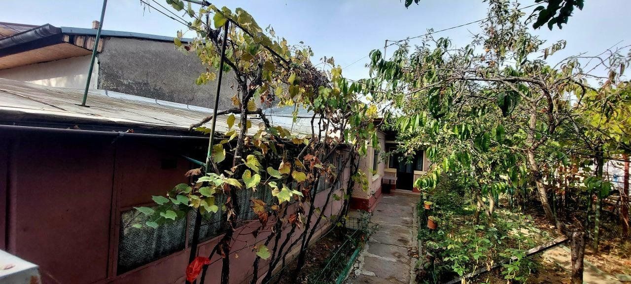 Proprietar casa individuala Bucurestii Noi-Aeromodelului- FARA AGENTII — fotografia 4