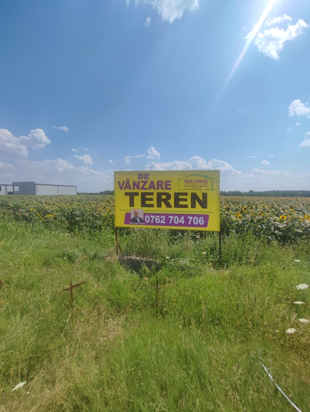 Vand teren intravilan cu destinatie hale - Ganeasa - Sindrilita — fotografia 12