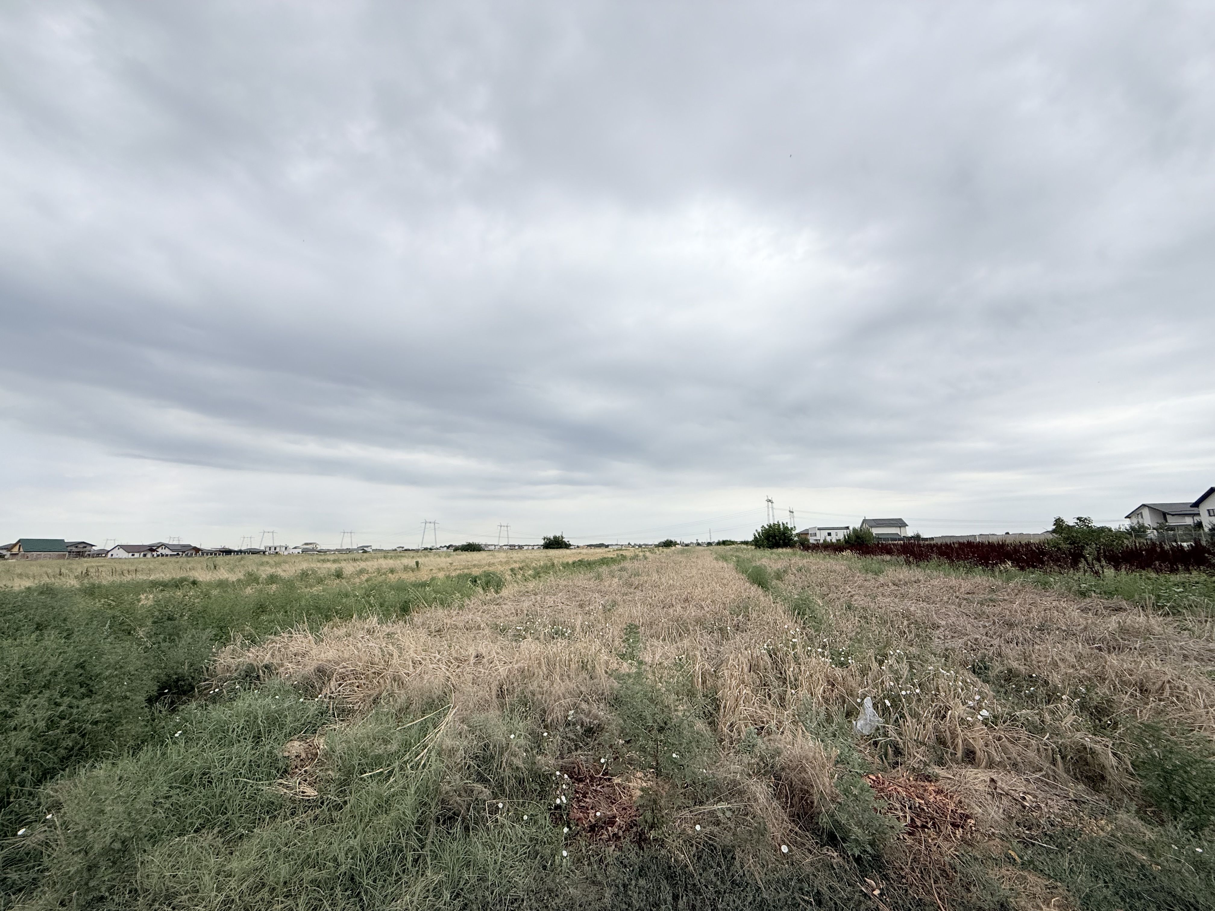 Teren intravilan 5000 mp parcelabil / oportunitate de investiție ! — fotografia 6