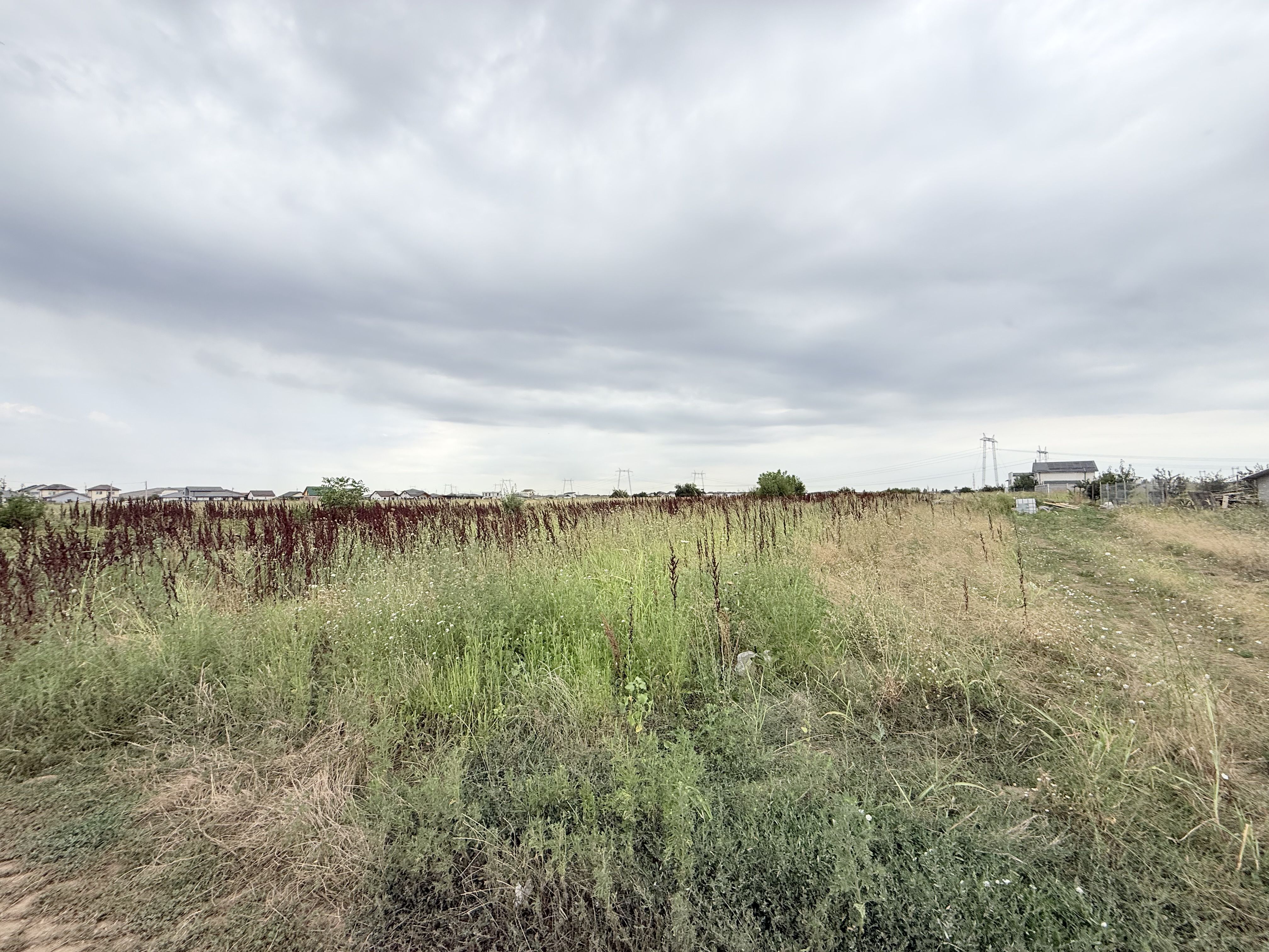 Teren intravilan 5000 mp parcelabil / oportunitate de investiție ! — fotografia 8