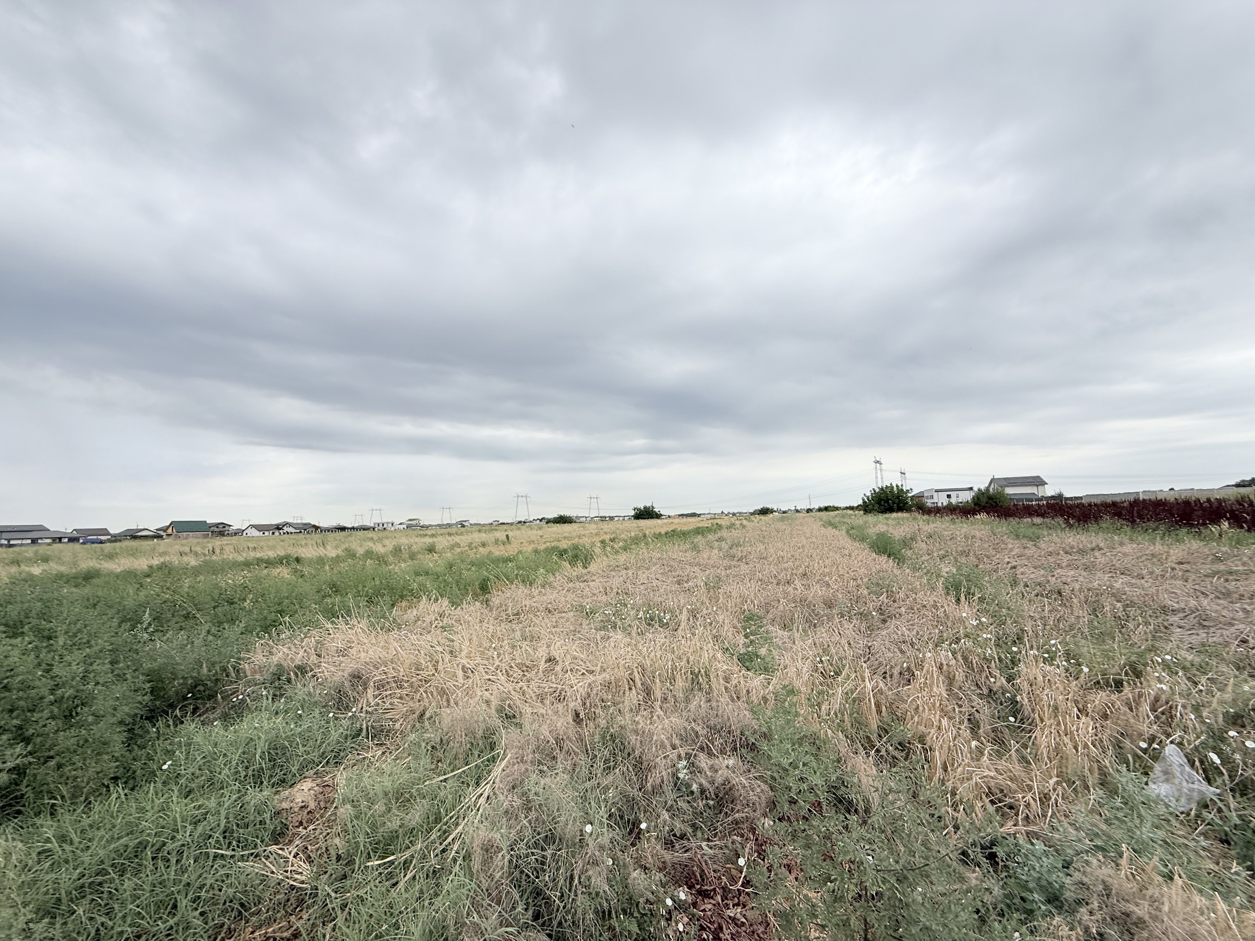 Teren intravilan 5000 mp parcelabil / oportunitate de investiție ! — fotografia 9