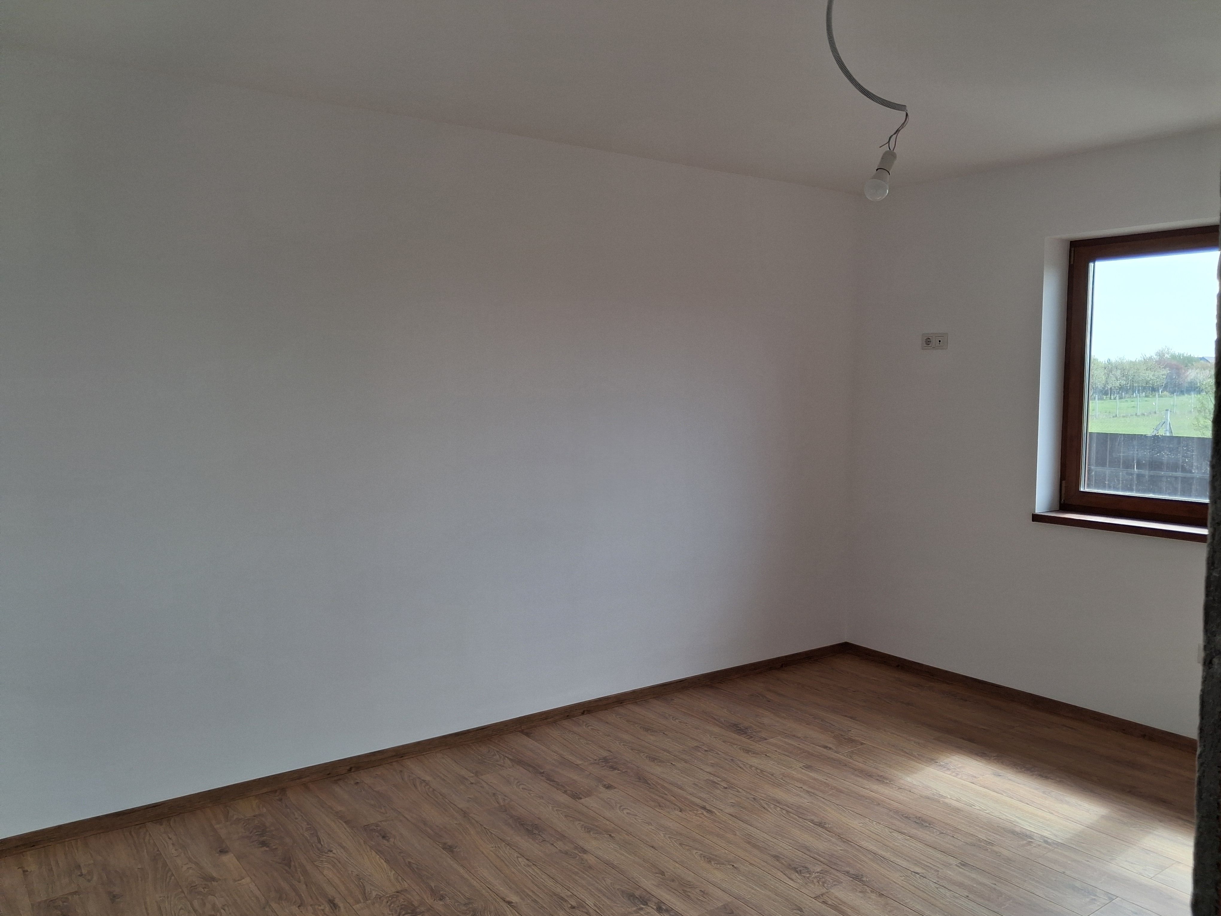 BRASADAS vinde casa individuala NOUA in Balta Blonda. — fotografia 5