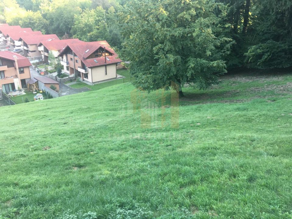 Teren intravilan Brasov Strada Ciresului 2900 mp