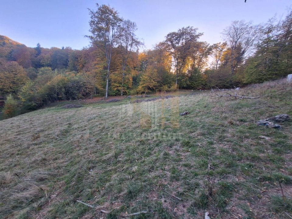 Teren intravilan Brasov Strada Ciresului 2900 mp — fotografia 5