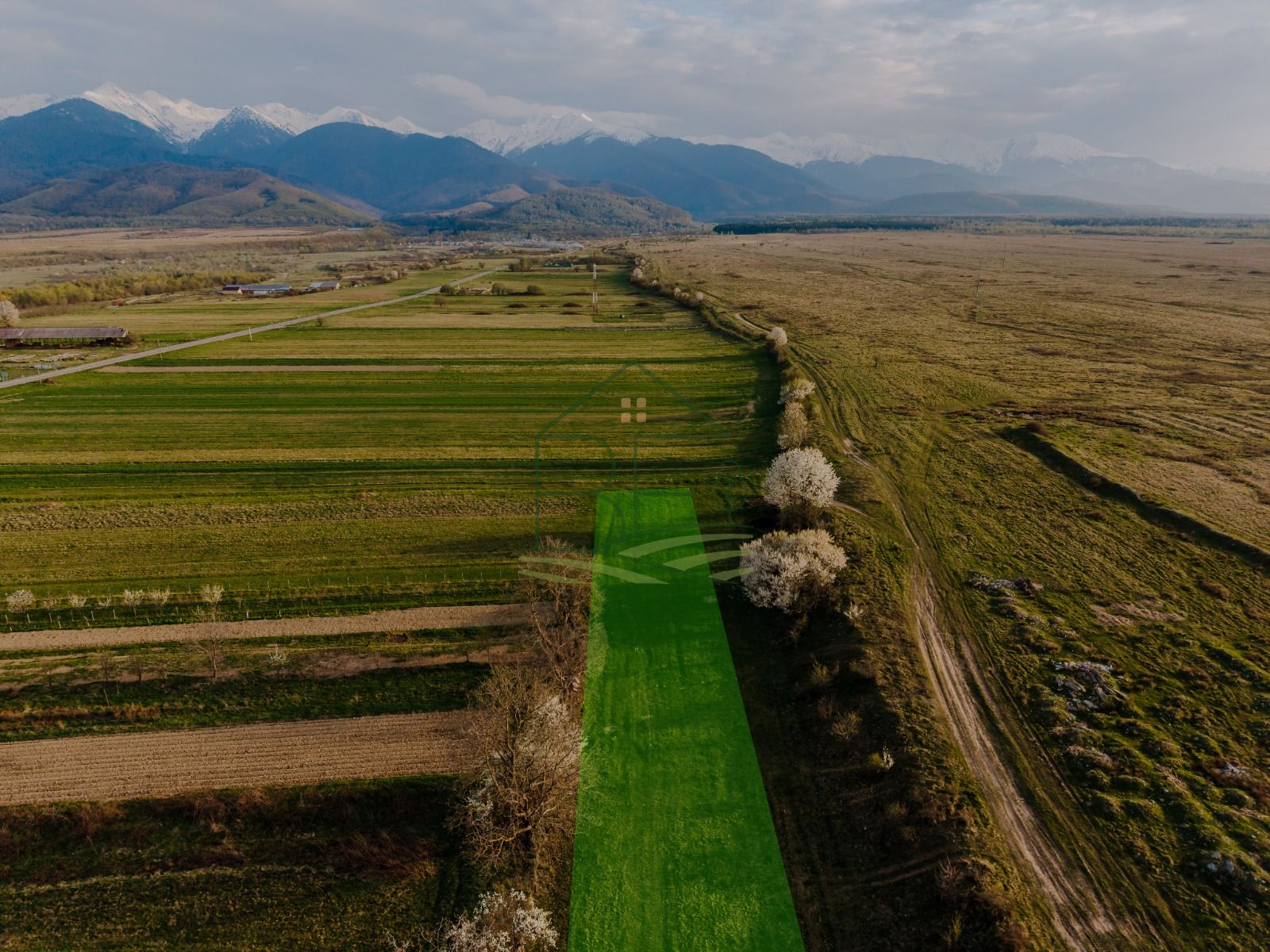 Teren extravilan 1662 mp – Cârțișoara | Vedere superbă Munții Făgăraș