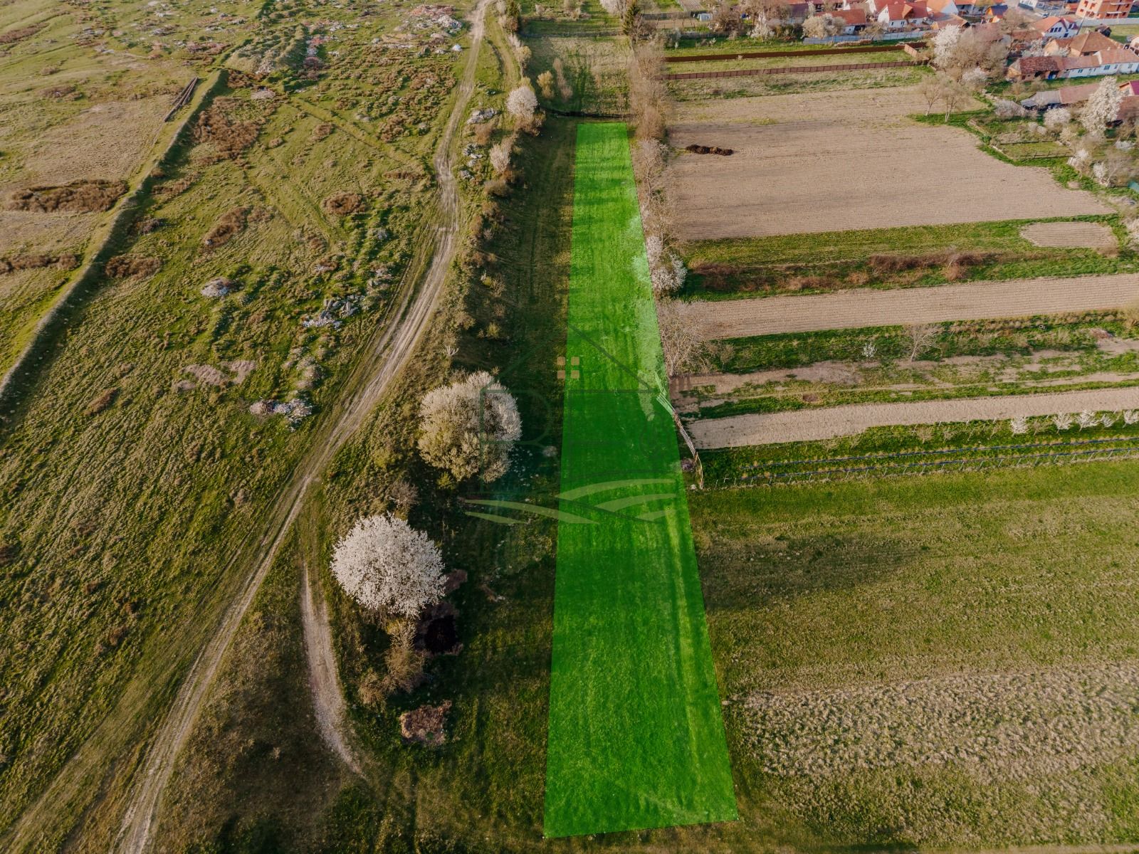 Teren extravilan 1662 mp – Cârțișoara | Vedere superbă Munții Făgăraș — fotografia 3