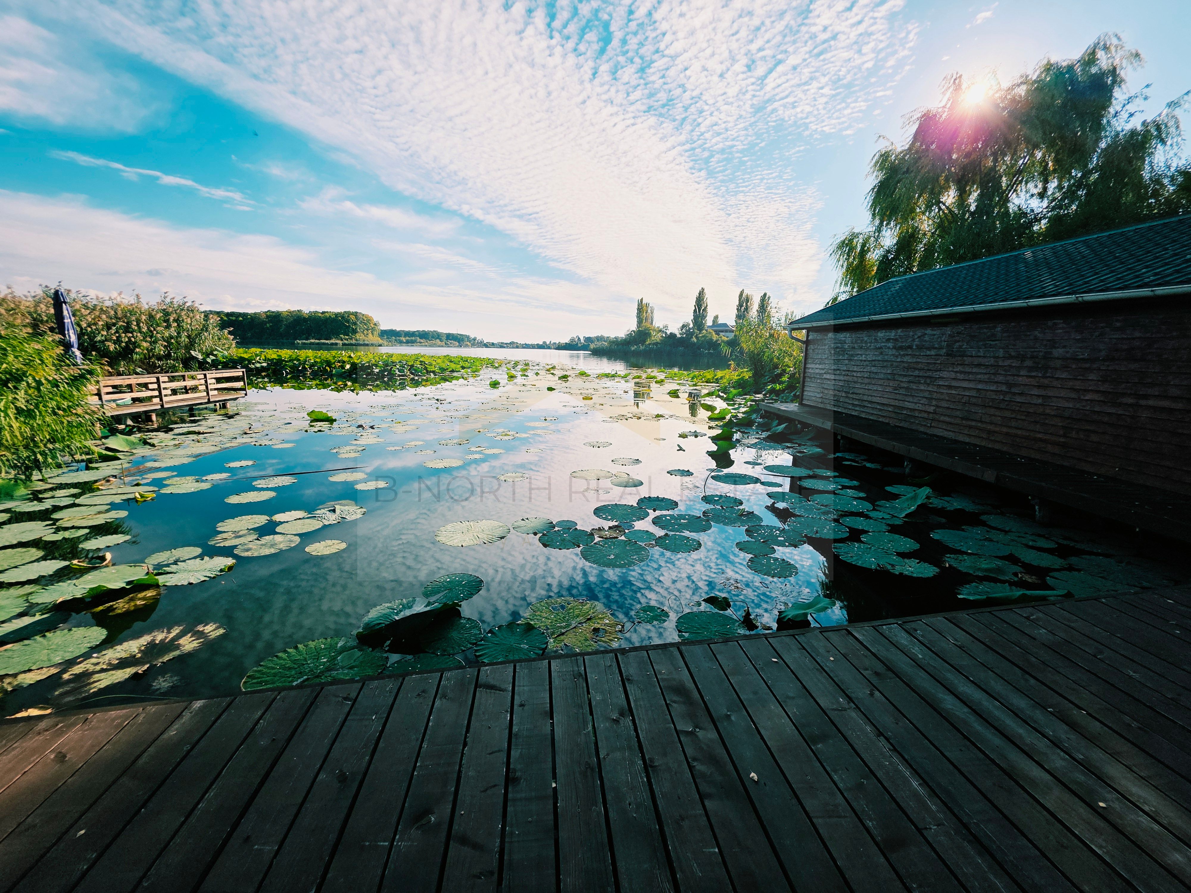 Vilă cu ponton privat la Lacul Snagov – casă de oaspeți, cramă, 1.768 mp — fotografia 3