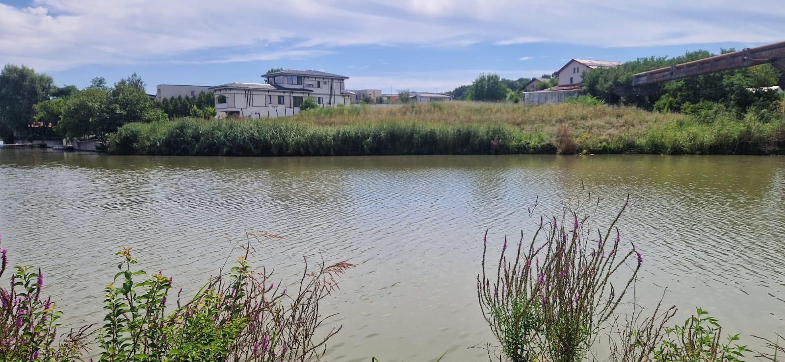 Teren intravilan 4.285 mp cu deschidere 86 ml la lac Corbeanca – Laguna Albastra