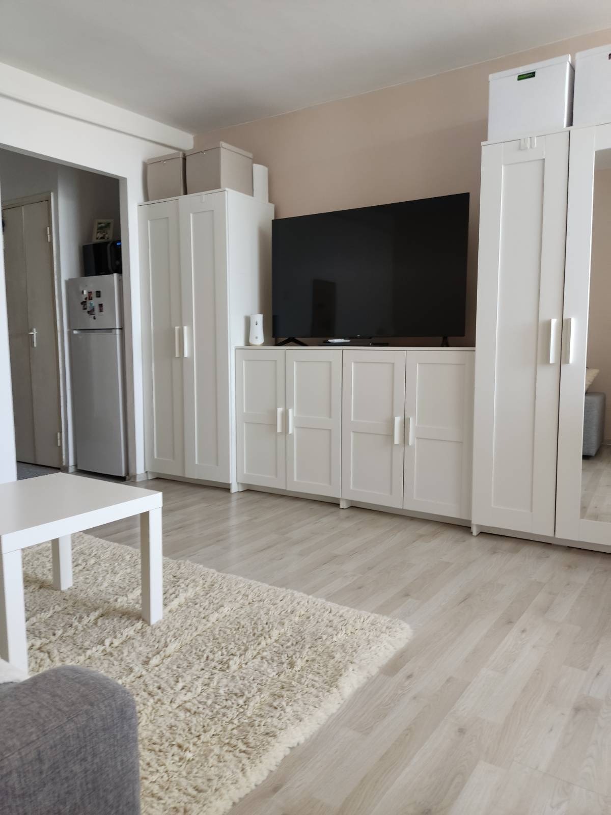 Garsoniera  moderna, complet renovata Manastur zona PIAȚA FLORA — fotografia 3