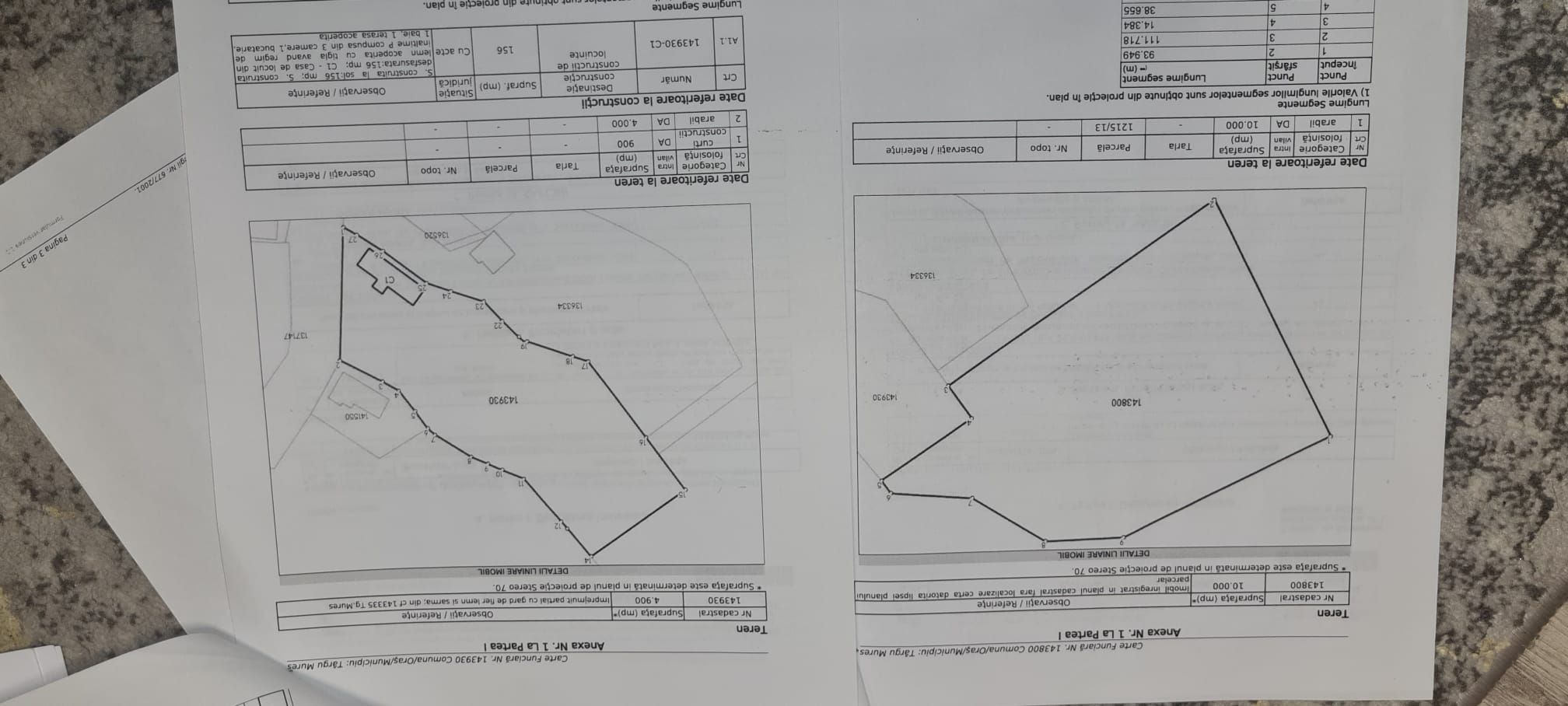 Teren intravilan 15.000 mp+casa 150mpTargu Mures,45 euro mp. — fotografia 6