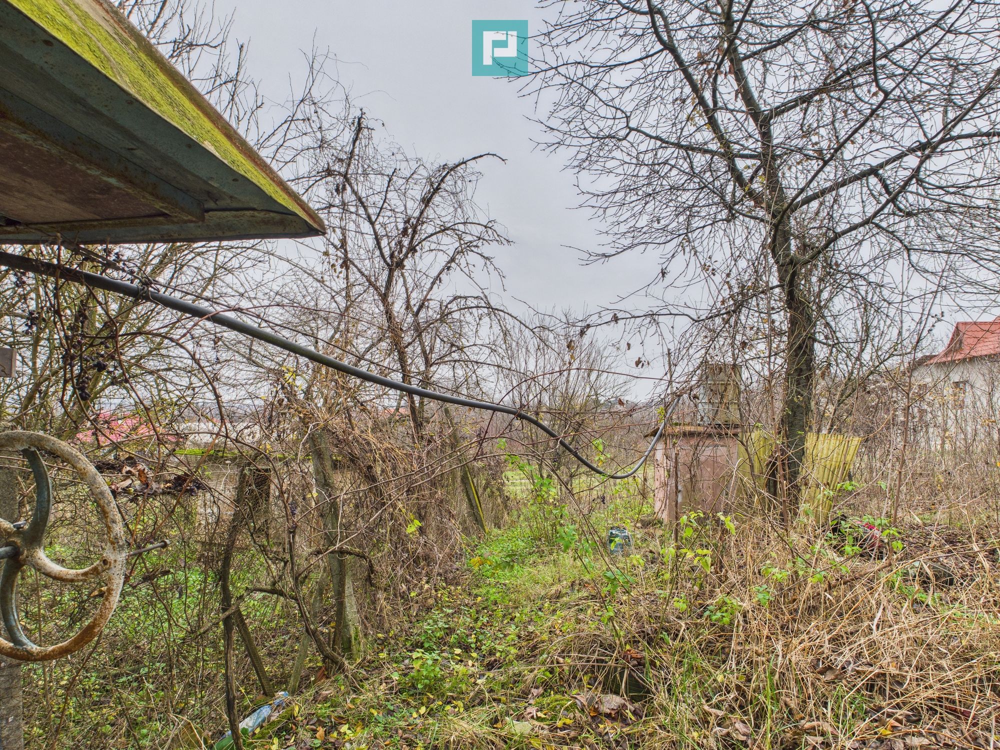 Casă 70 mp în Diosig, 1230 mp teren, cu Crama 25mp — fotografia 4