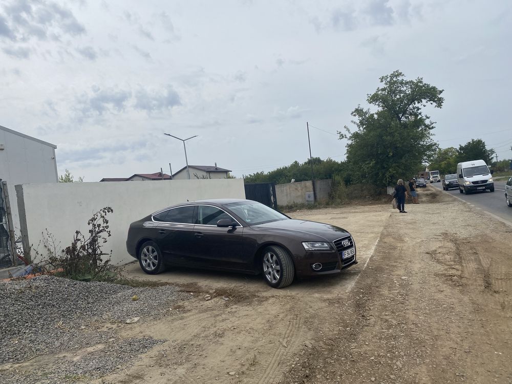 Hala de vanzare,Pantelimon — fotografia 3