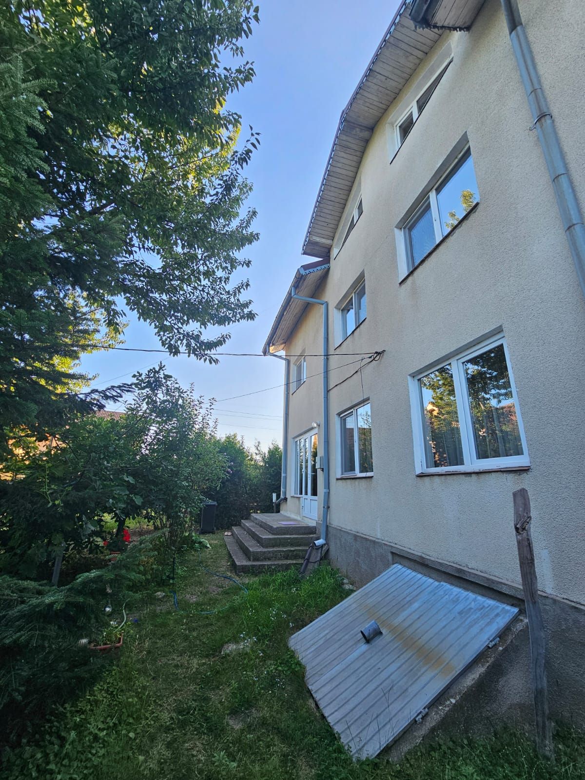 Anunț 3239443