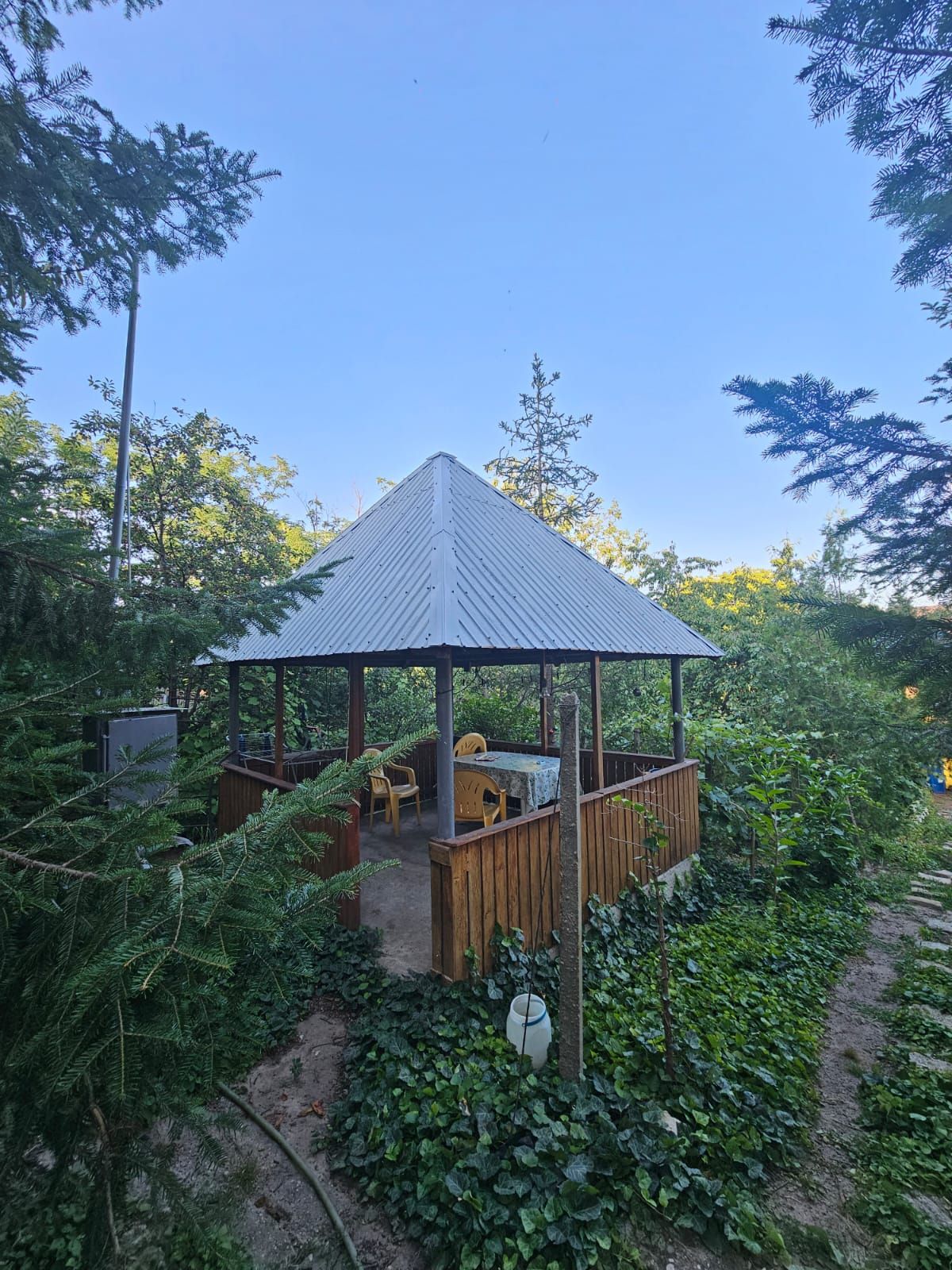 Anunț 3239443 — fotografia 5