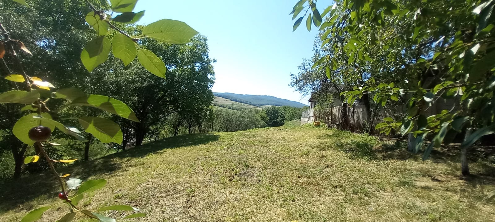 De vânzare loc de casă în Ortelec – 1.400 mp, toate utilitățile — fotografia 2