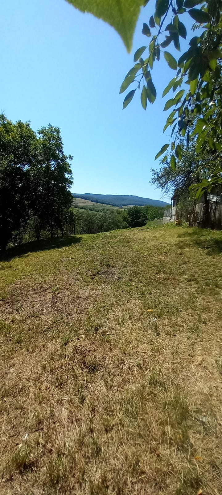 De vânzare loc de casă în Ortelec – 1.400 mp, toate utilitățile — fotografia 3