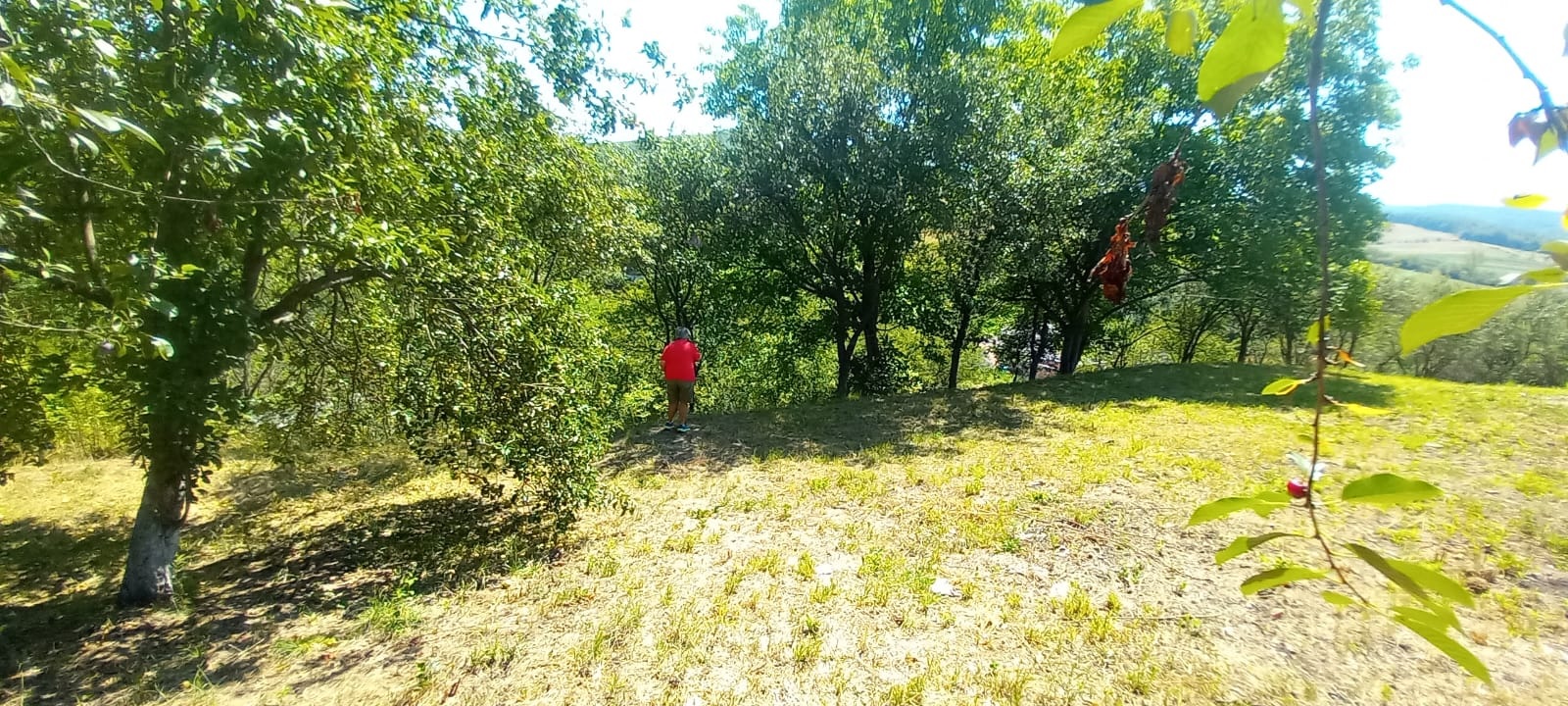 De vânzare loc de casă în Ortelec – 1.400 mp, toate utilitățile — fotografia 5