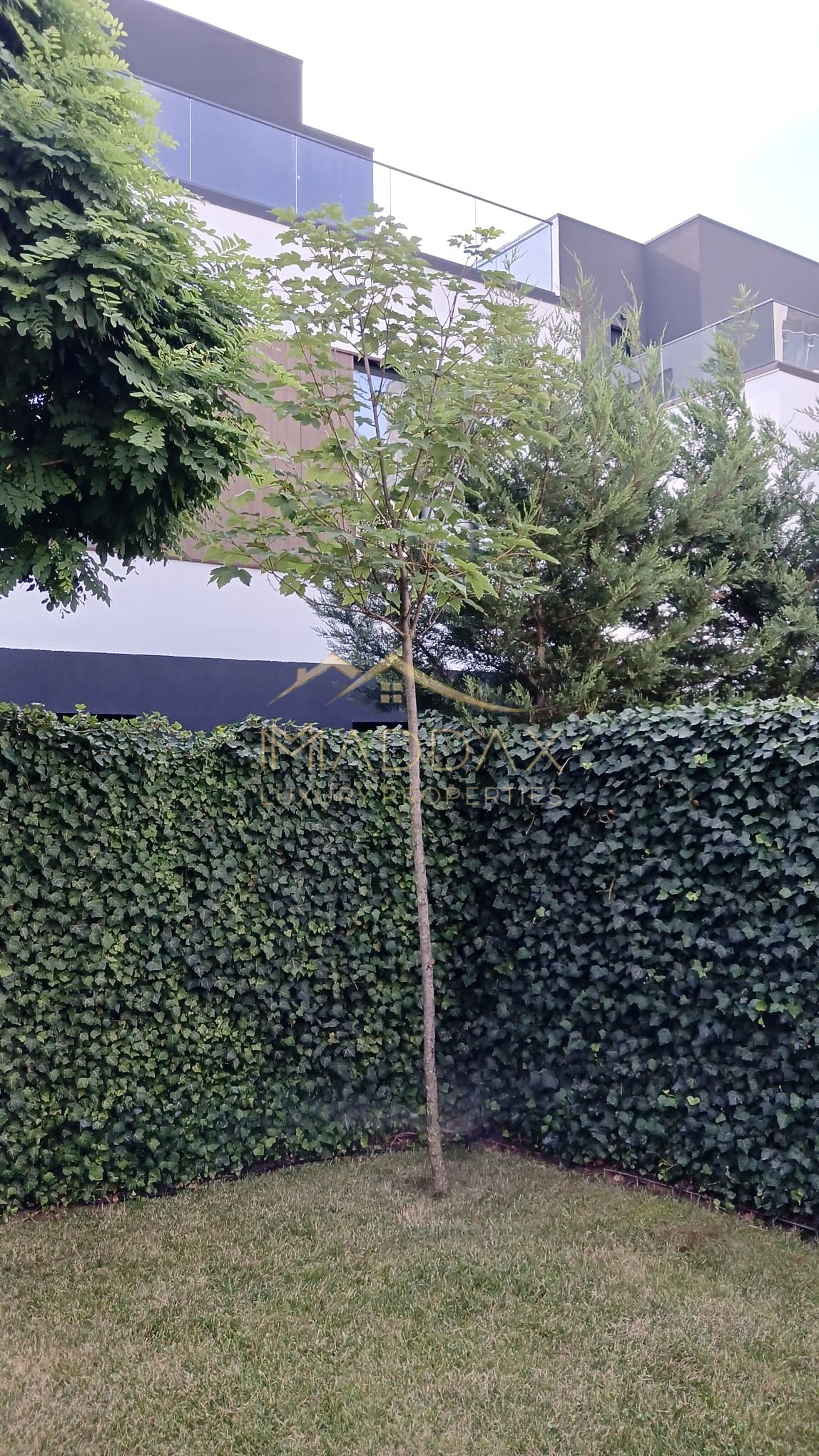 Vila Premium Pipera ~ Siguranta & Exclusivitate — fotografia 19