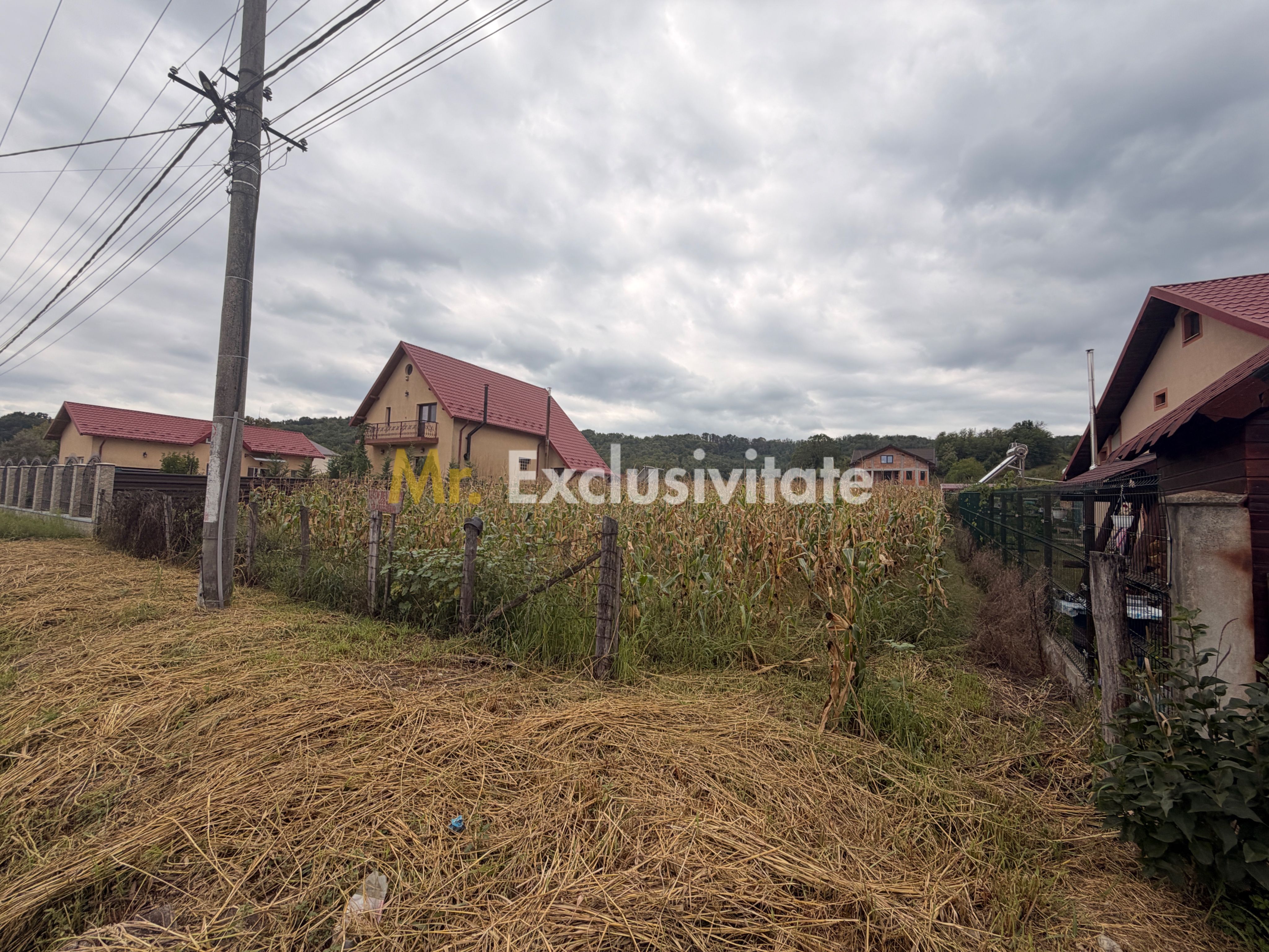 Teren pretabil unei construcții de vis - Băbana - zonă cu pădure — fotografia 2