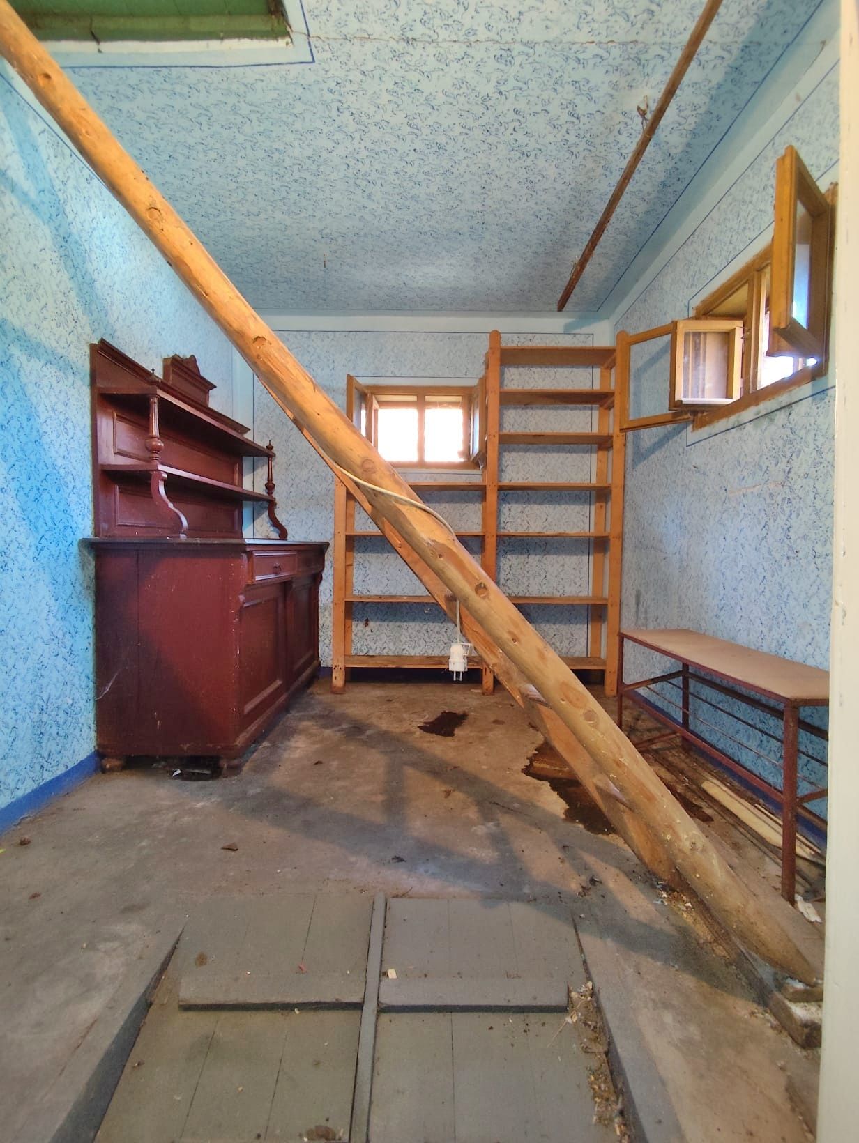 Casa la tara, gaz, acces auto, teren 4122 mp – Petid, Bihor – VANZARE — fotografia 10