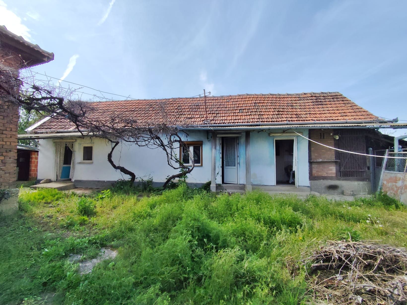 Casa la tara, gaz, acces auto, teren 4122 mp – Petid, Bihor – VANZARE — fotografia 12