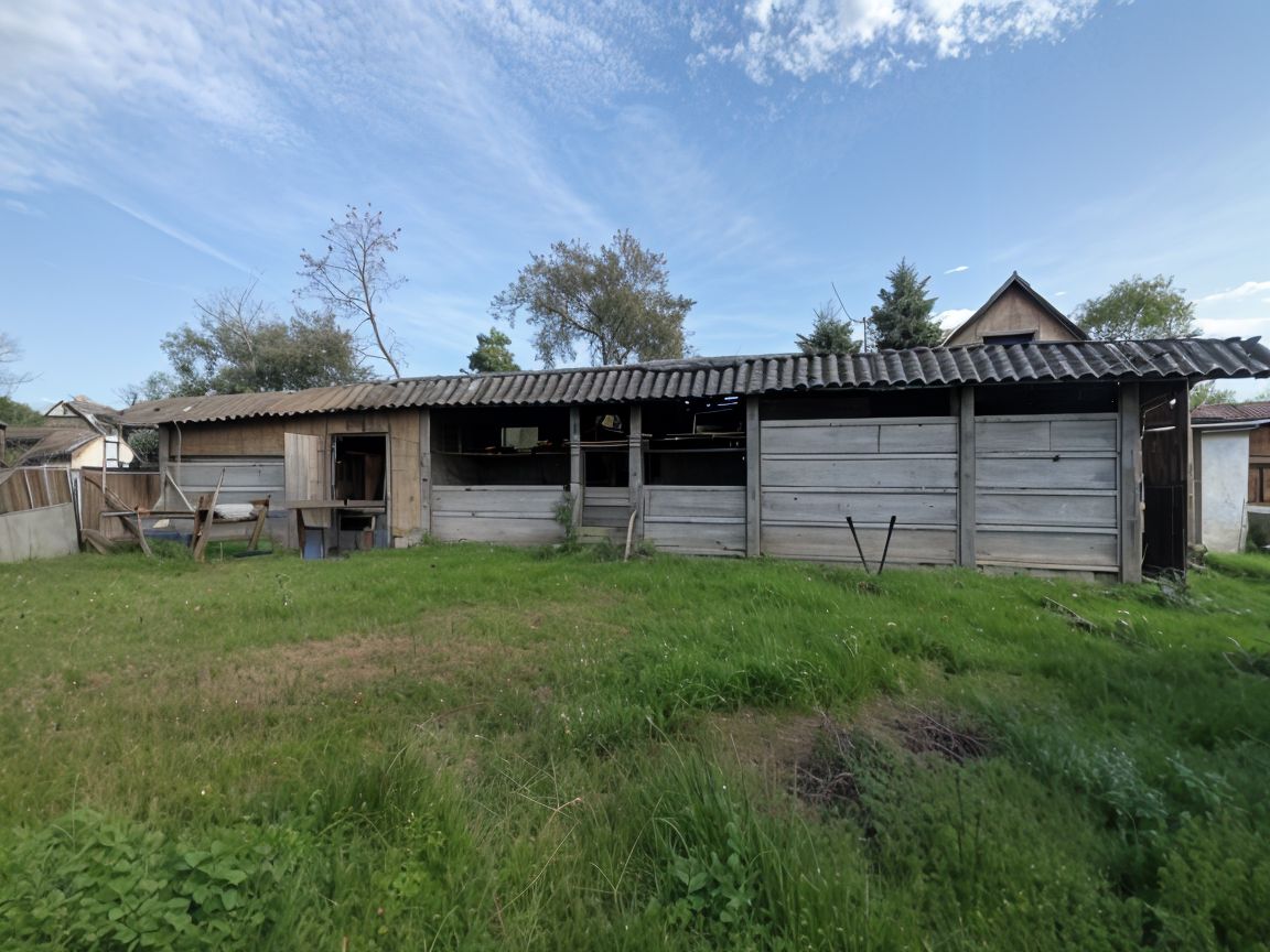 Casa la tara, gaz, acces auto, teren 4122 mp – Petid, Bihor – VANZARE — fotografia 13