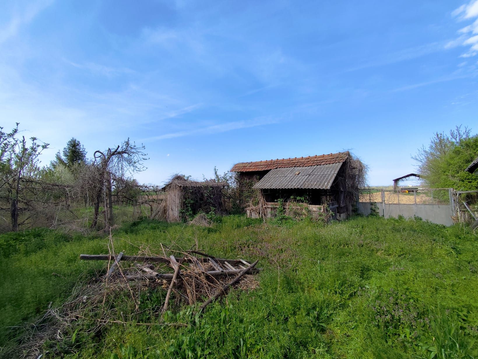 Casa la tara, gaz, acces auto, teren 4122 mp – Petid, Bihor – VANZARE — fotografia 14