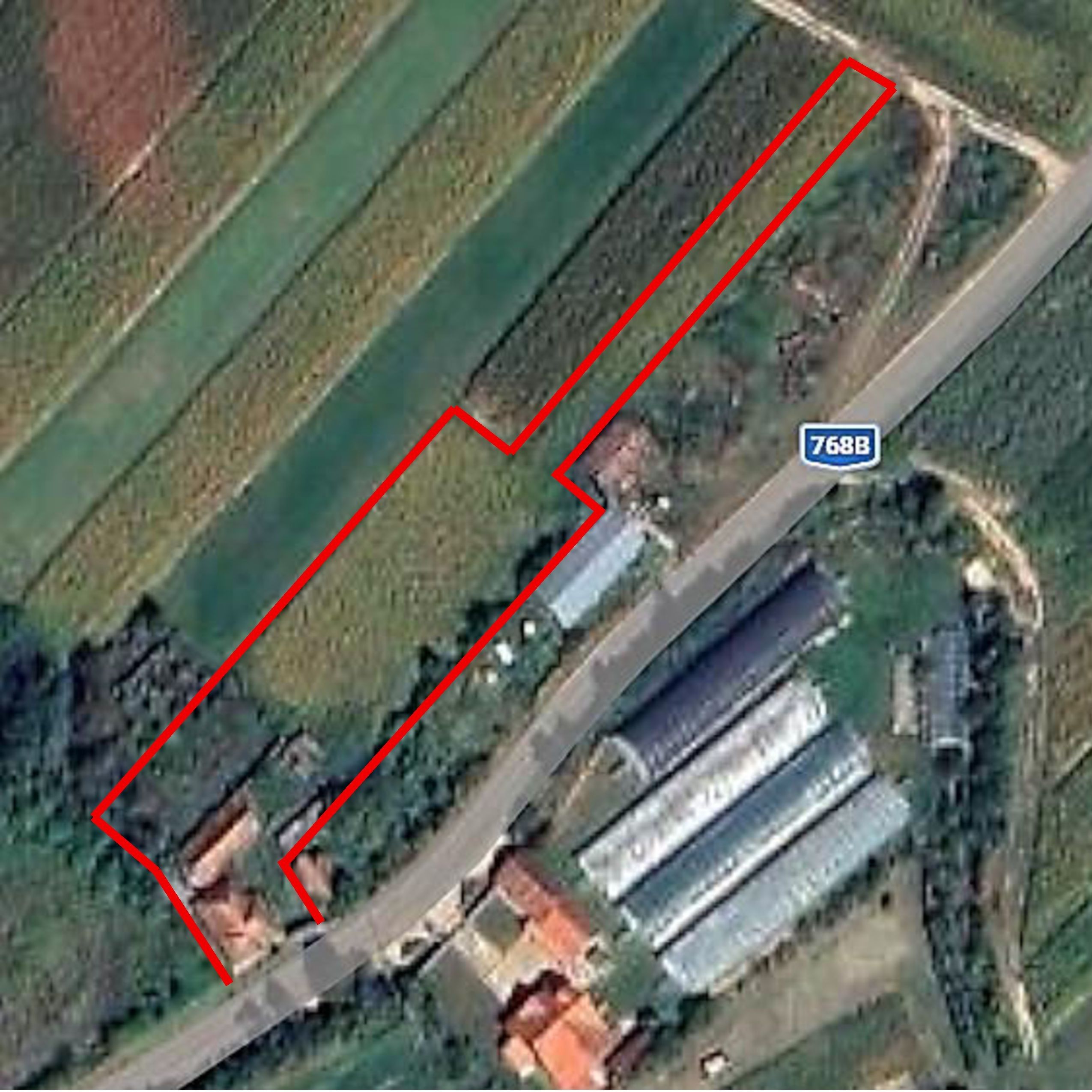 Casa la tara, gaz, acces auto, teren 4122 mp – Petid, Bihor – VANZARE — fotografia 18