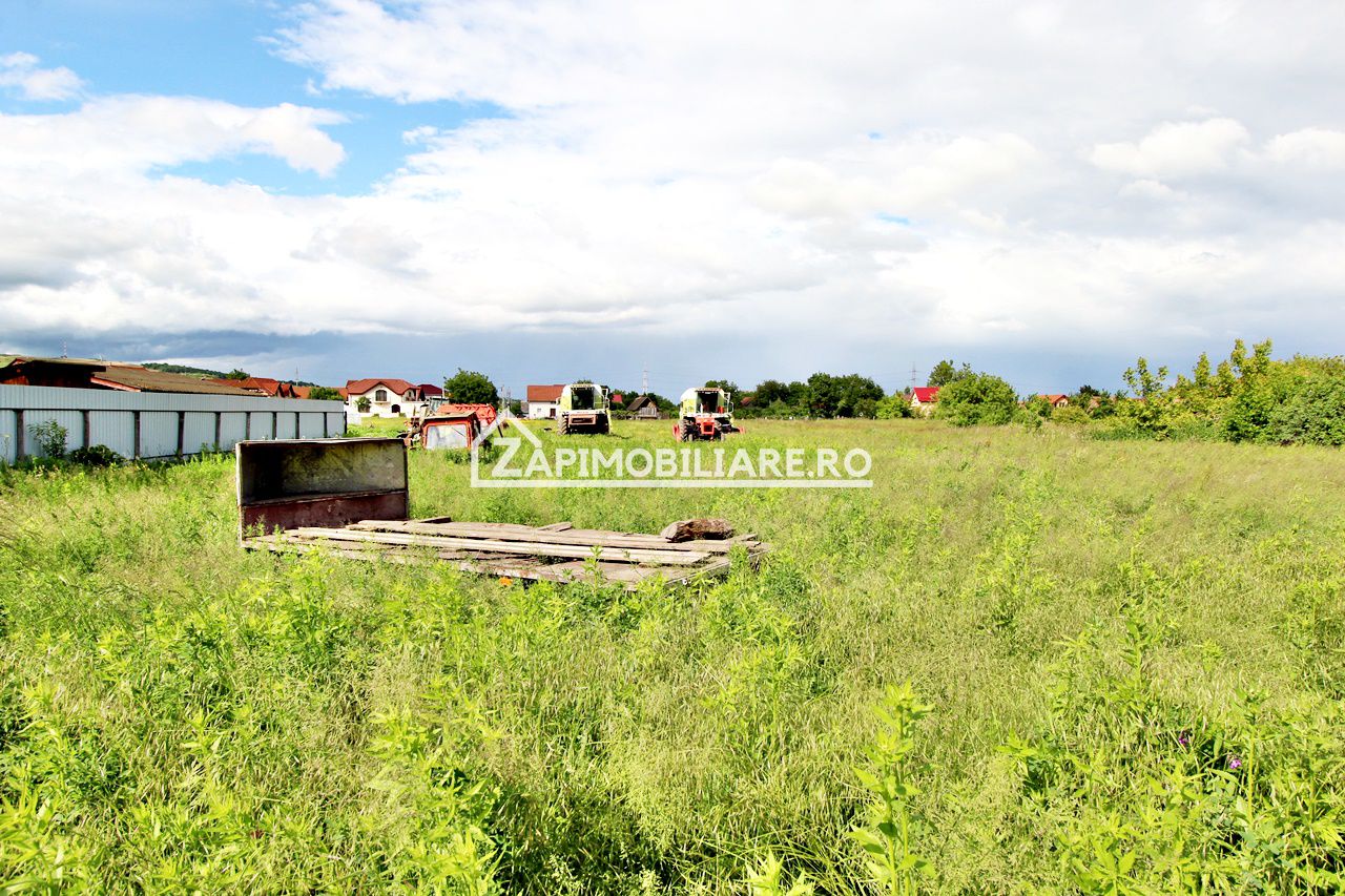 Unirii - Teren intravilan 4800 mp - la sosea