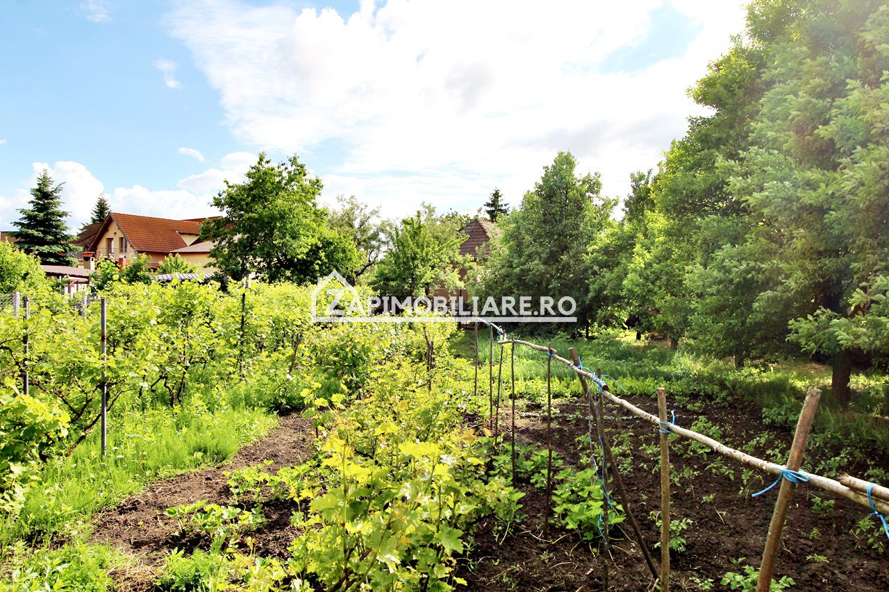 Unirii - Teren intravilan 4800 mp - la sosea — fotografia 4