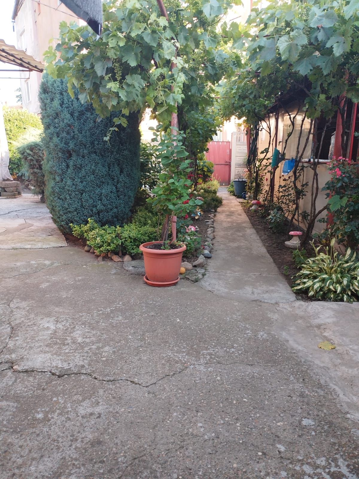 ageuropa.ro vinde casa in zona 14 Mai cu 3 cam. si teren aferent de 500mp. — fotografia 6