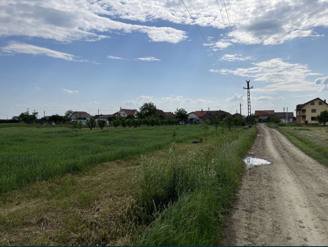 Teren intravilan — fotografia 5