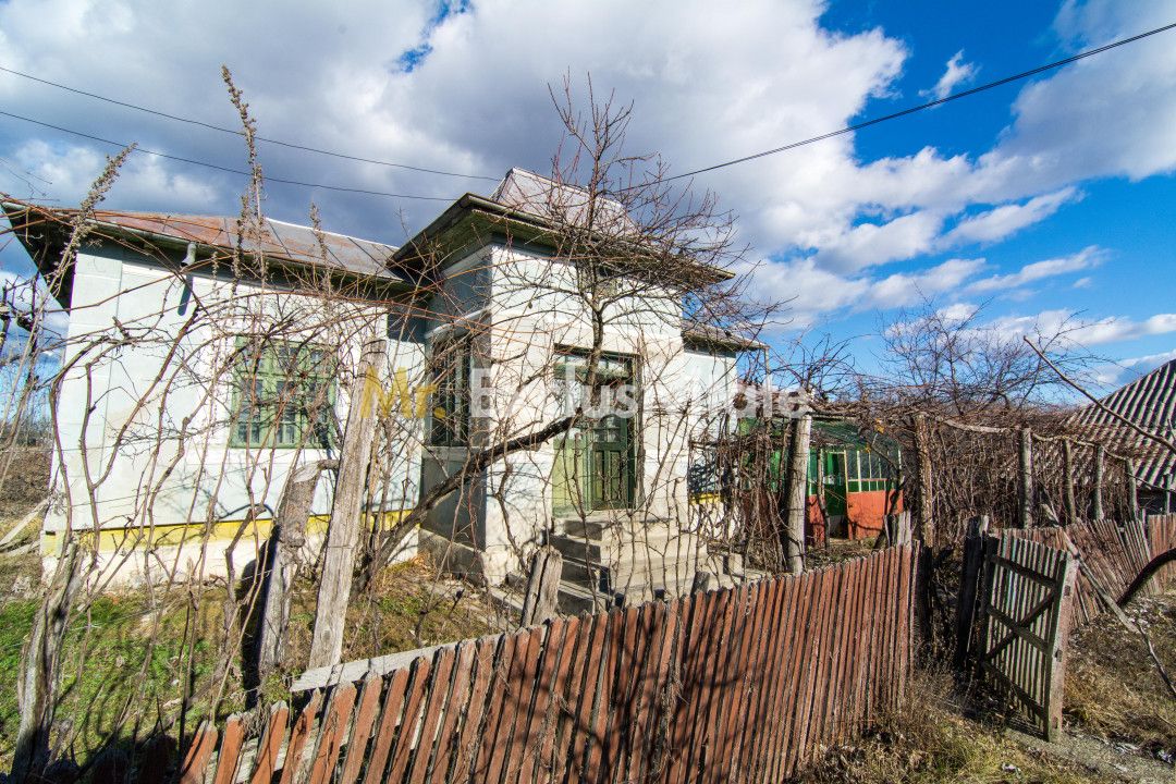 Casa traditionala argeseana – comuna Vedea, jud. Arges — fotografia 4