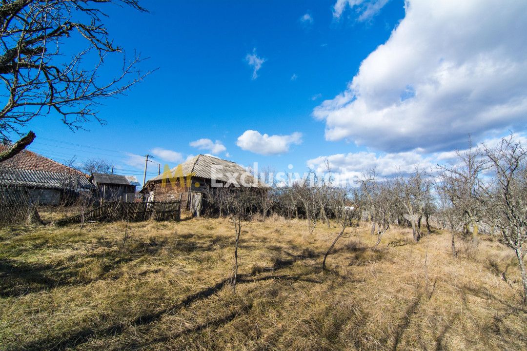Casa traditionala argeseana – comuna Vedea, jud. Arges — fotografia 7