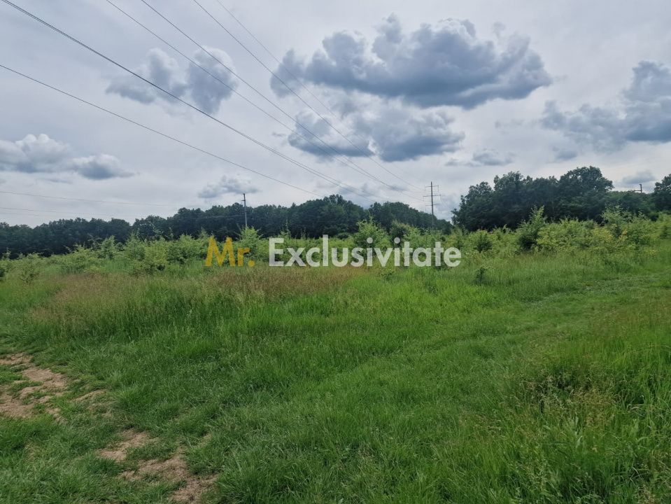 Teren extravilan Pitesti - str. Balotesi!! — fotografia 10