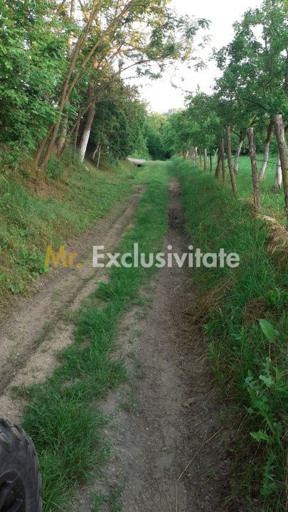 Teren extravilan Pitesti - str. Balotesi!! — fotografia 5