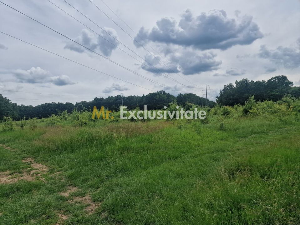 Teren extravilan Pitesti - str. Balotesi!! — fotografia 7