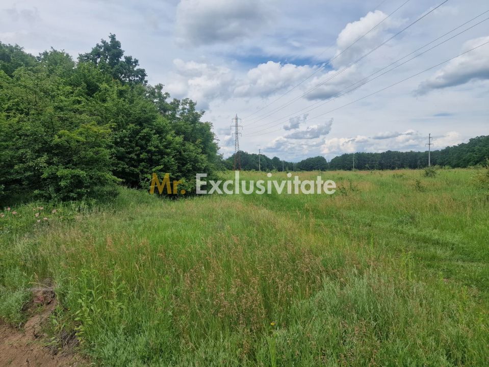 Teren extravilan Pitesti - str. Balotesi!! — fotografia 9