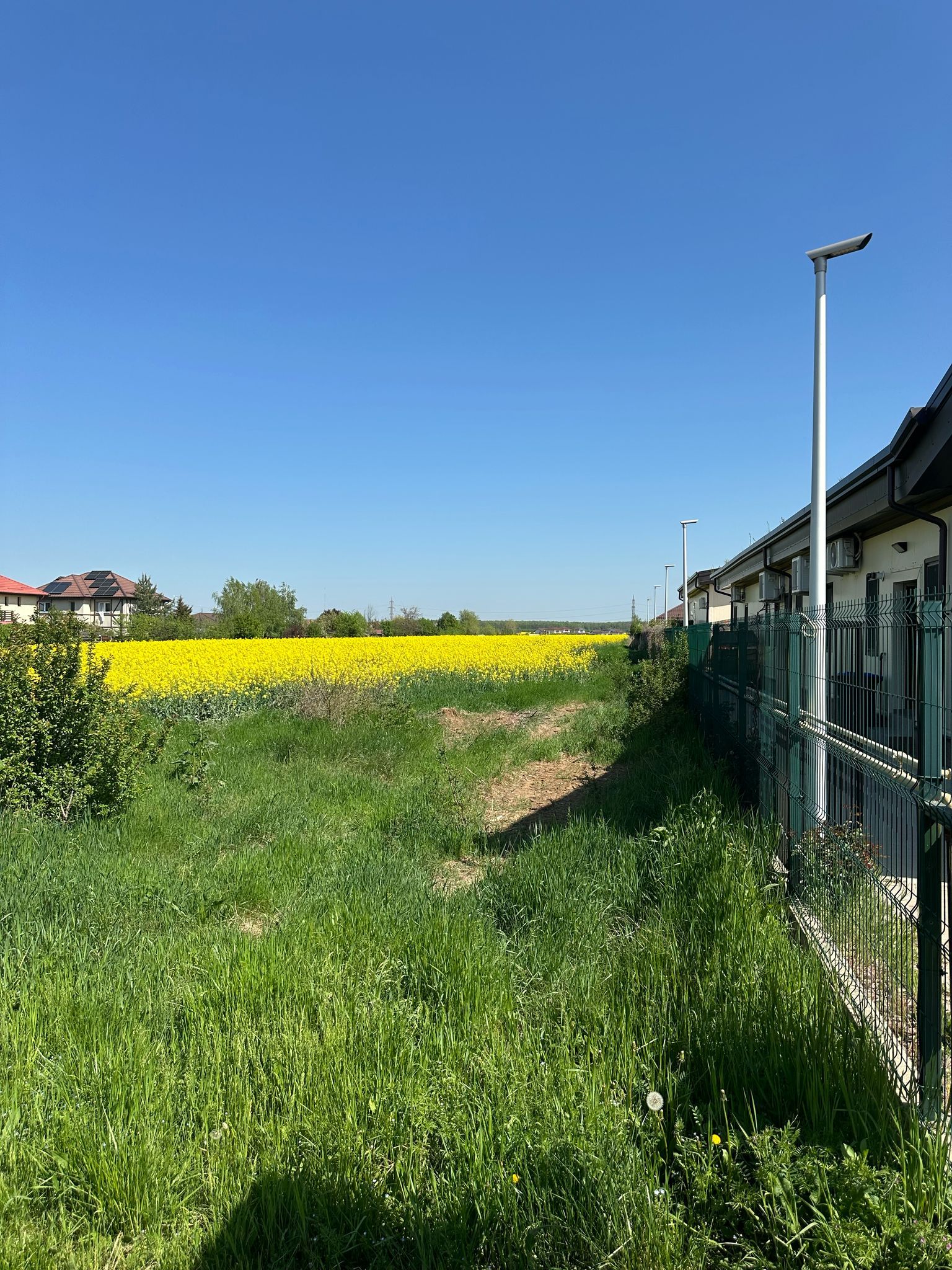 Teren intravilan 26.300 mp Saftica Balotesti - PUZ în lucru — fotografia 15