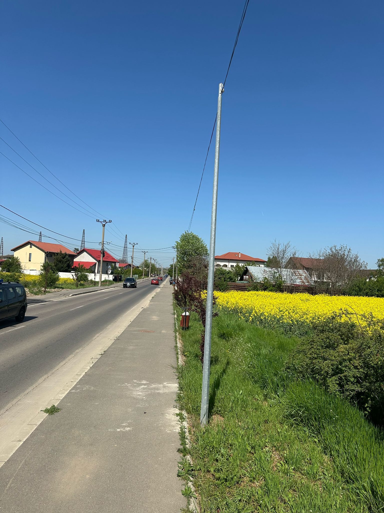Teren intravilan 26.300 mp Saftica Balotesti - PUZ în lucru — fotografia 18