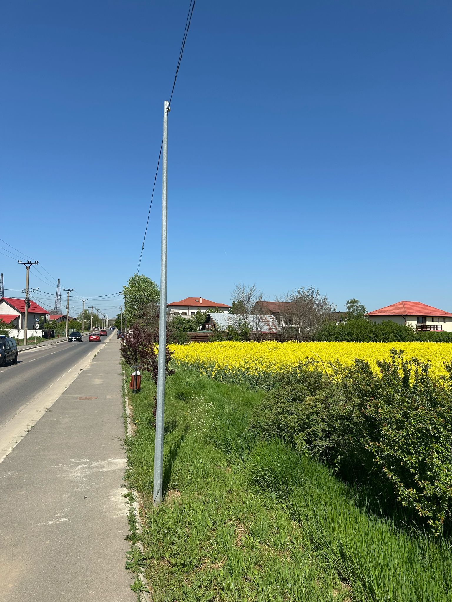 Teren intravilan 26.300 mp Saftica Balotesti - PUZ în lucru — fotografia 19