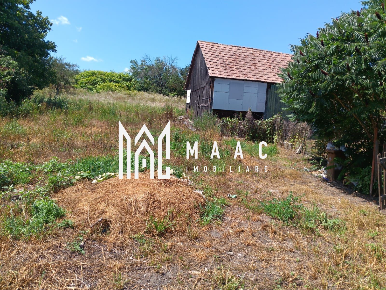 Casa 4 camere | Teren 2000 | Alțâna — fotografia 10