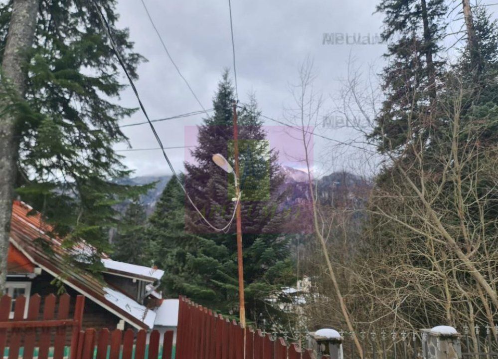 Vilă de vânzare in Sinaia - Zona Cumpătu — fotografia 3