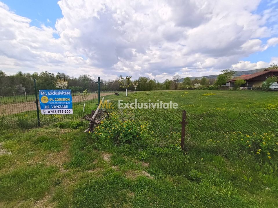 Teren mixt de vânzare Crasna Gorj, aproape de Rânca– 19.209 mp — fotografia 3