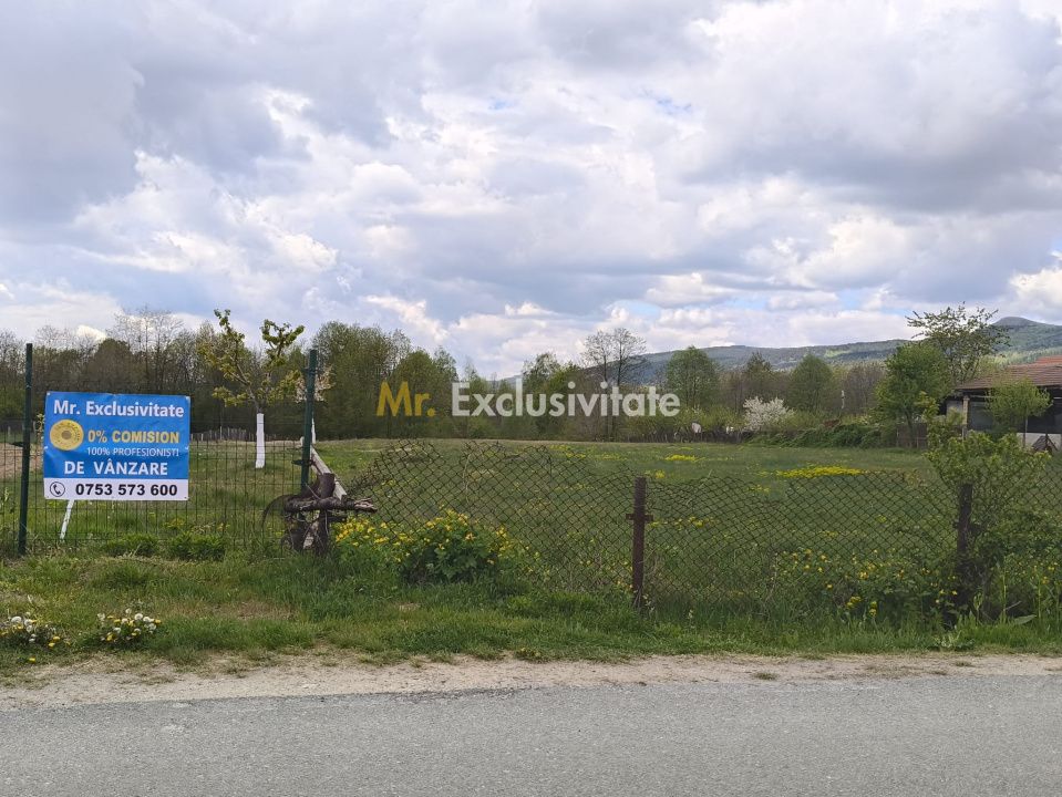 Teren mixt de vânzare Crasna Gorj, aproape de Rânca– 19.209 mp — fotografia 5