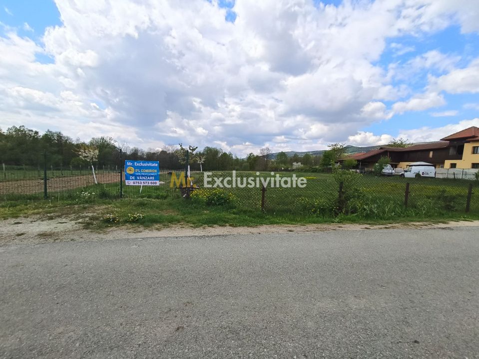 Teren mixt de vânzare Crasna Gorj, aproape de Rânca– 19.209 mp — fotografia 6