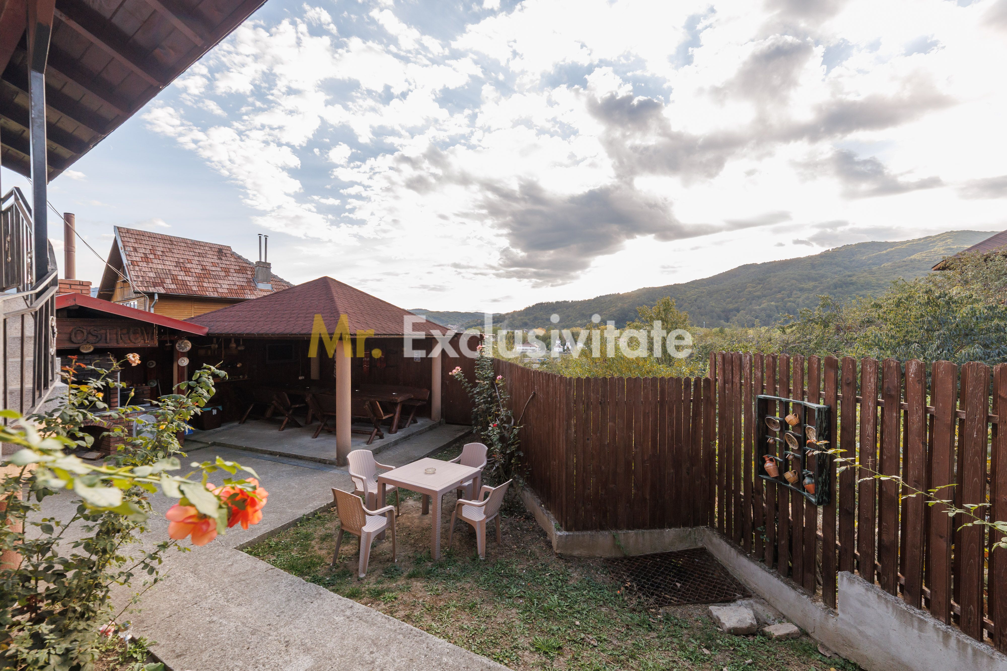 Pensiune Calimanesti, jud. Valcea — fotografia 4
